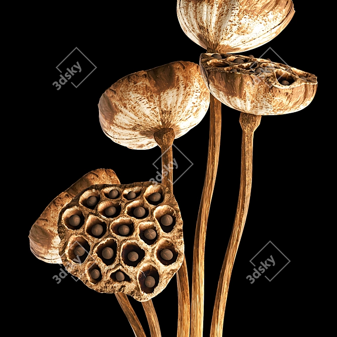 Lotus Bouquet: Natural Decor for Interiors 3D model image 2