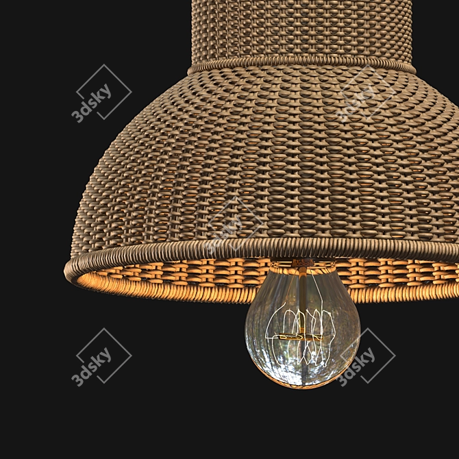 Rattan Pendant Lamp with Bird Accents 3D model image 3