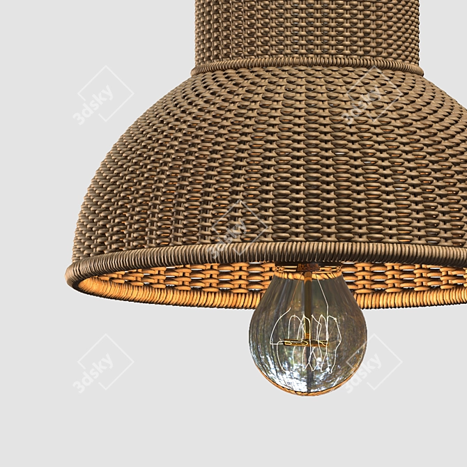 Rattan Pendant Lamp with Bird Accents 3D model image 7