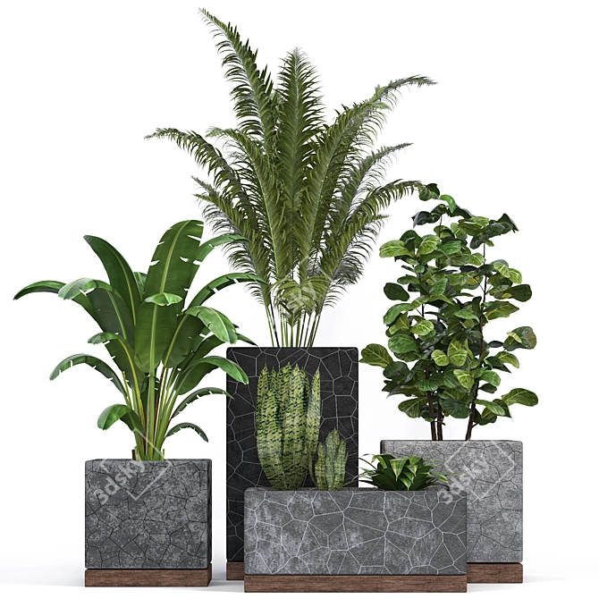 Modern Indoor Plants Collection 3D model image 1