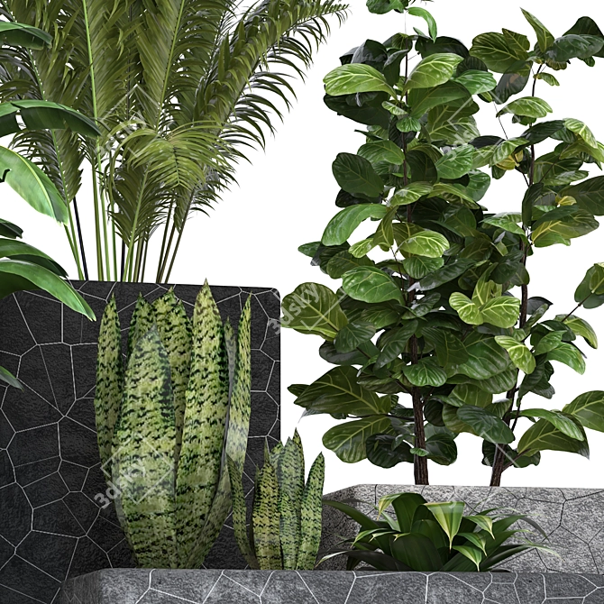 Modern Indoor Plants Collection 3D model image 4