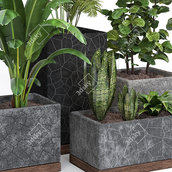 Modern Indoor Plants Collection 3D model image 5