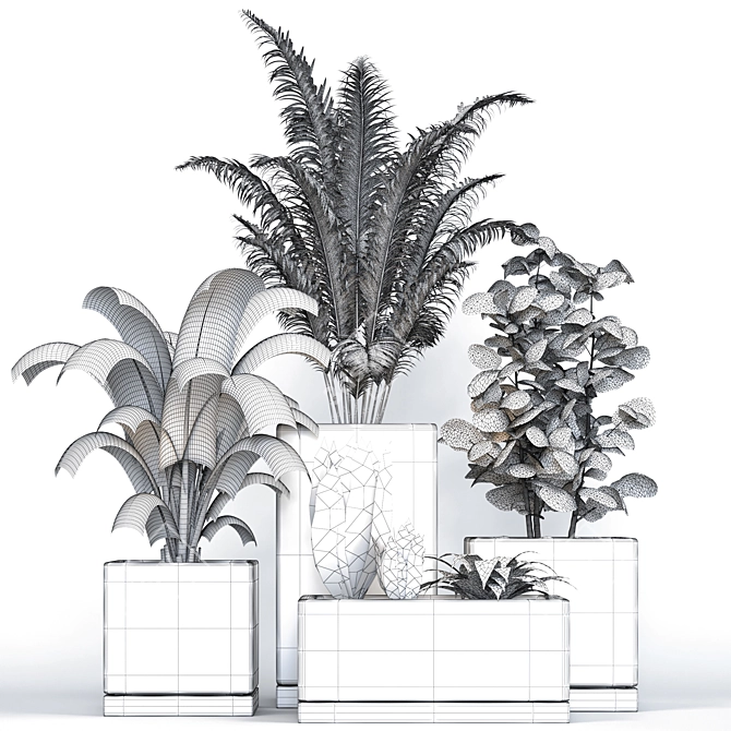 Modern Indoor Plants Collection 3D model image 6