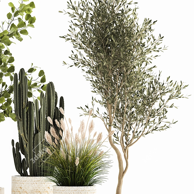 Decorative Plant Collection: Indoor and Outdoor Exotics 3D model image 4