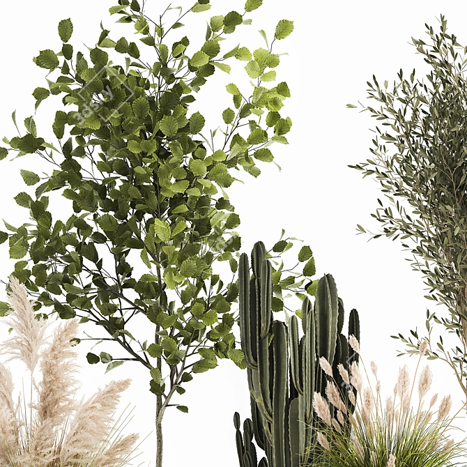 Decorative Plant Collection: Indoor and Outdoor Exotics 3D model image 5