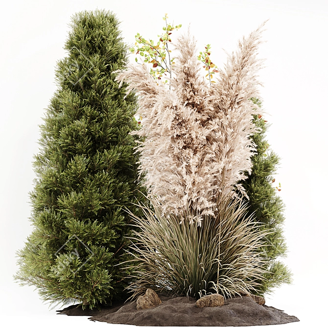 Outdoor Pampas Plant: High-Quality 3D Model 3D model image 2