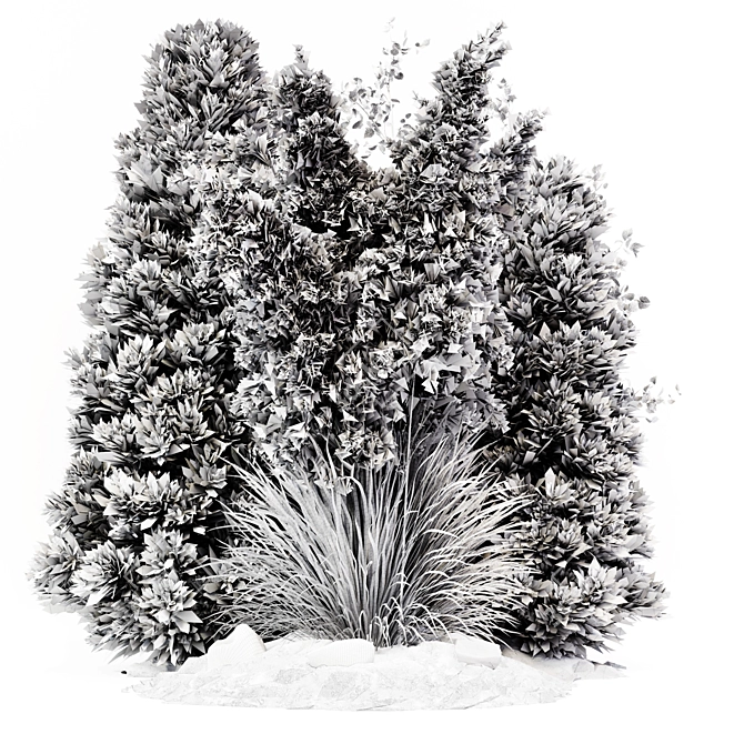 Outdoor Pampas Plant: High-Quality 3D Model 3D model image 4