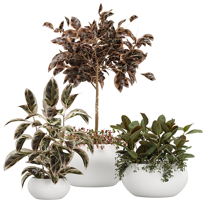 Botanical Bliss: Rubber Plant Vase Pack 3D model image 1