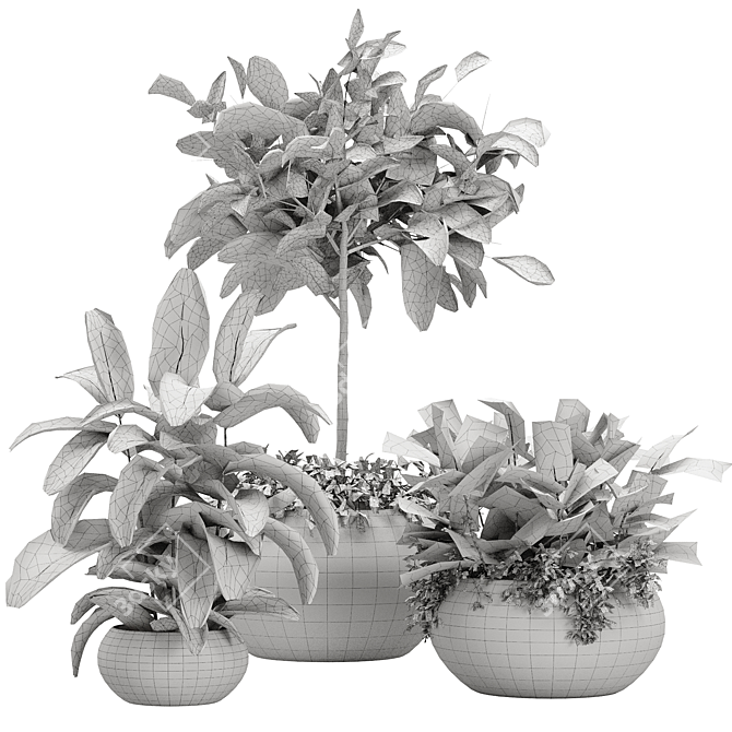 Botanical Bliss: Rubber Plant Vase Pack 3D model image 2