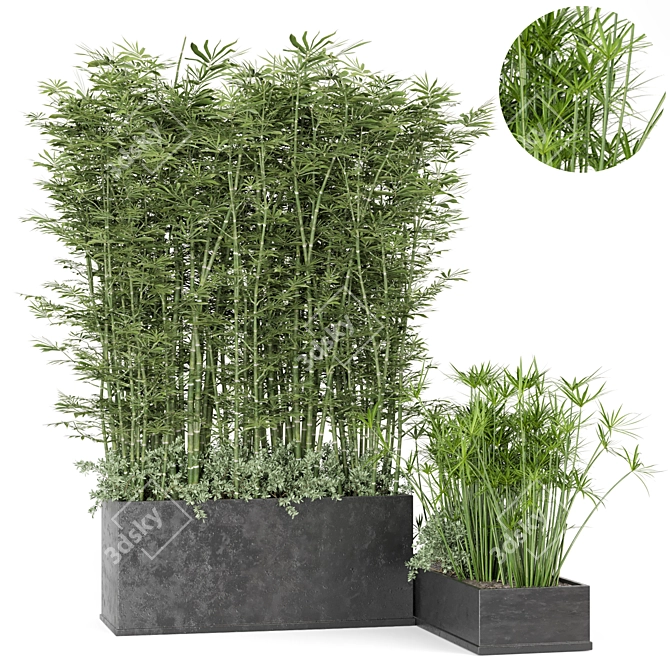 Rustic Concrete Pot with Outdoor Bamboo 3D model image 1