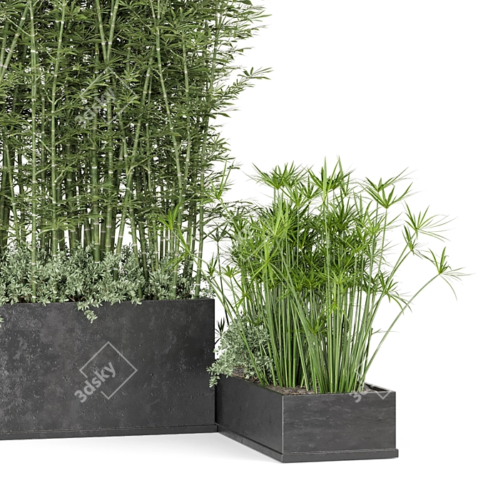 Rustic Concrete Pot with Outdoor Bamboo 3D model image 5