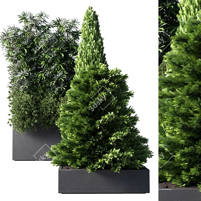 Outdoor Collection: 50 Concrete Vase Pot with Bamboo Tree 3D model image 2