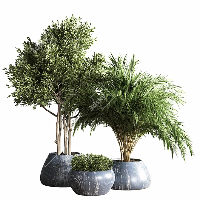 Stylish Indoor Plant Stand 3D model image 1