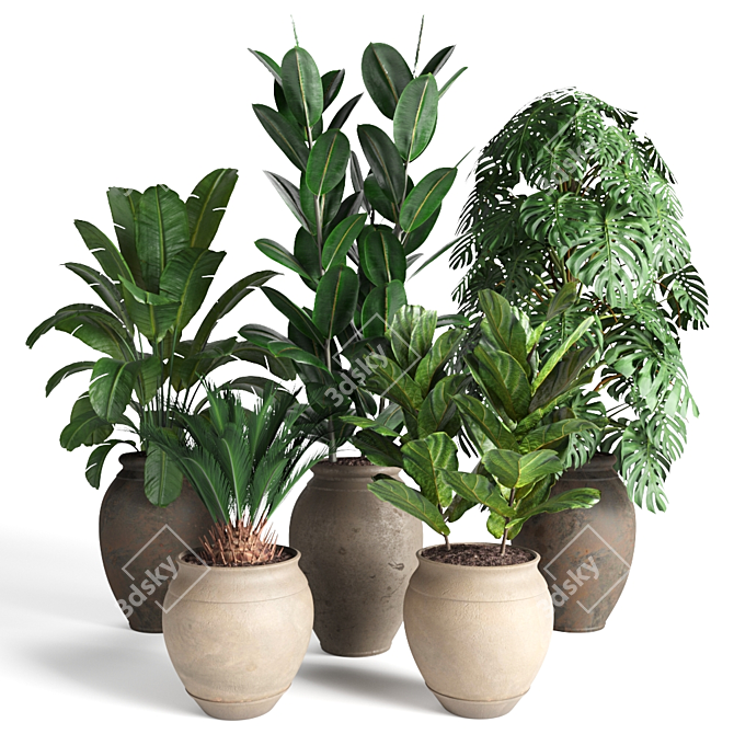 Tropical Plant Collection 3D model image 1