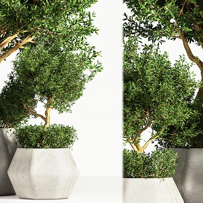 Indoor Tree: Potted Greenery for Any Space 3D model image 3