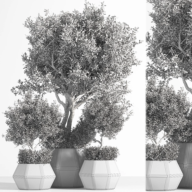 Indoor Tree: Potted Greenery for Any Space 3D model image 6