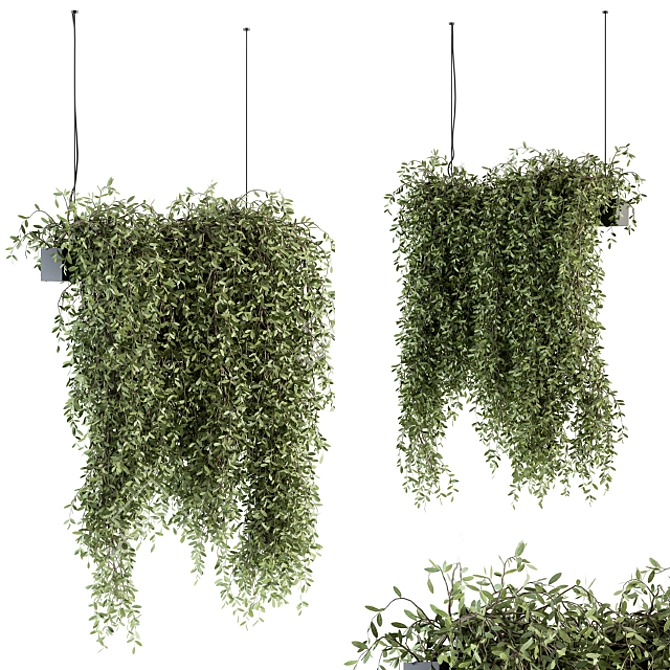 Tropical Oasis: Indoor Hanging Plant Set 3D model image 1