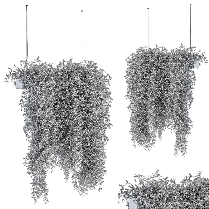 Tropical Oasis: Indoor Hanging Plant Set 3D model image 4