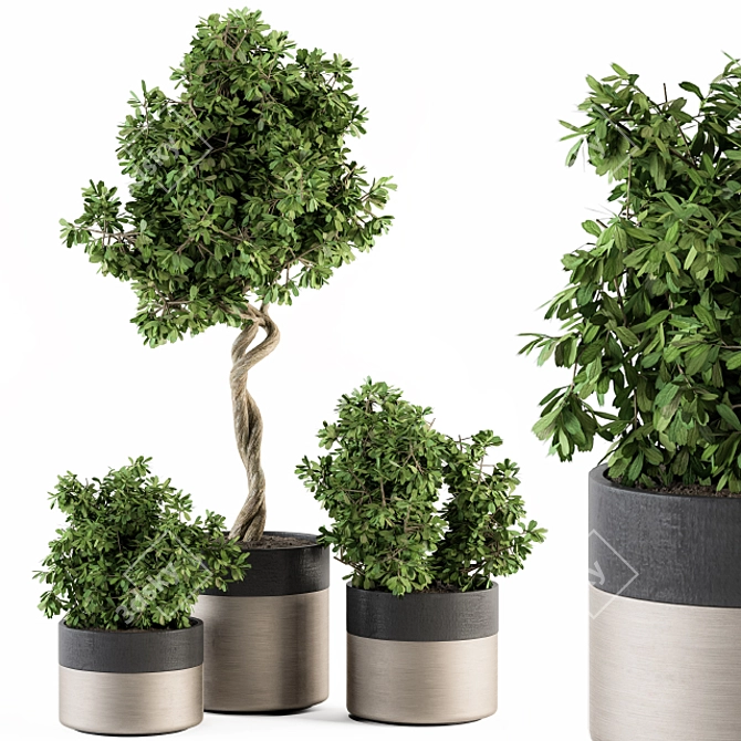  Modern Pot Plant Set - Outdoor 272 3D model image 1