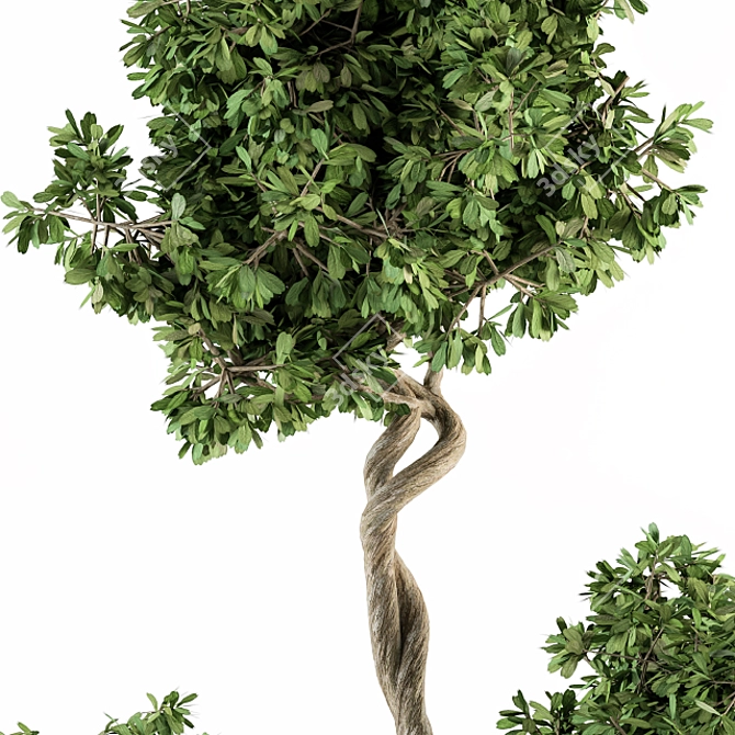  Modern Pot Plant Set - Outdoor 272 3D model image 3