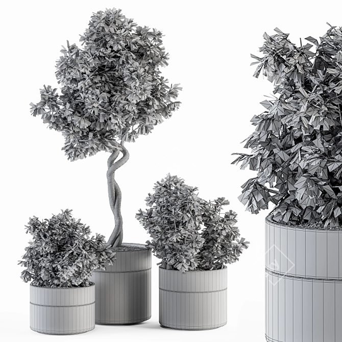  Modern Pot Plant Set - Outdoor 272 3D model image 5