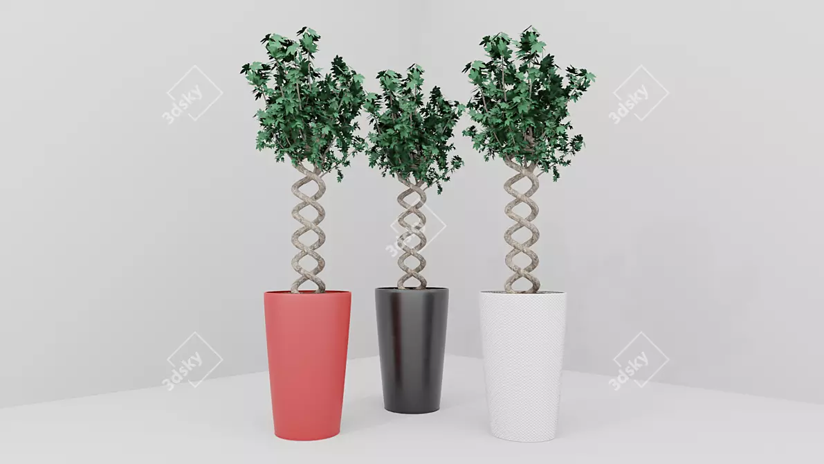Exotic Pot Plant: Vibrant and Versatile 3D model image 2