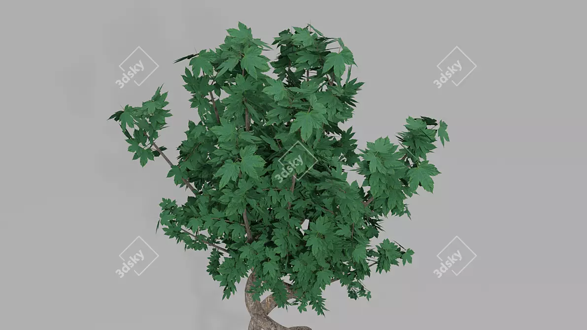 Exotic Pot Plant: Vibrant and Versatile 3D model image 5