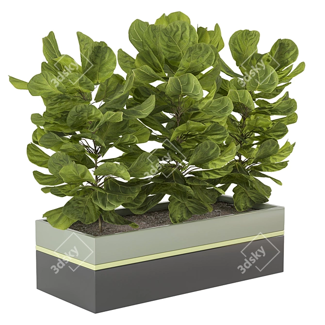 Green Oasis: Indoor Plants Collection 3D model image 1