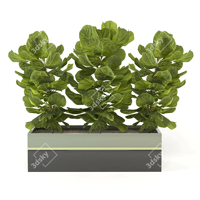 Green Oasis: Indoor Plants Collection 3D model image 5