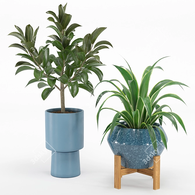 Green Oasis Indoor Plant Set 3D model image 2