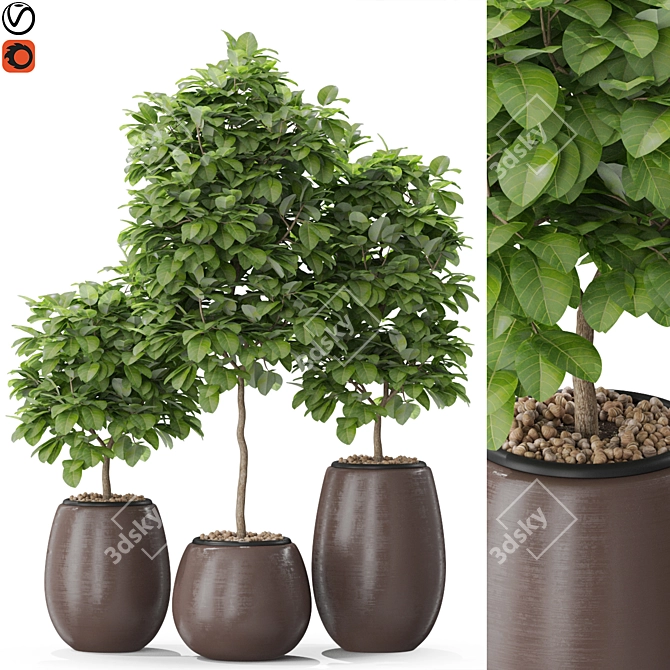 Lush Greenery: 575 Plant Collection 3D model image 1