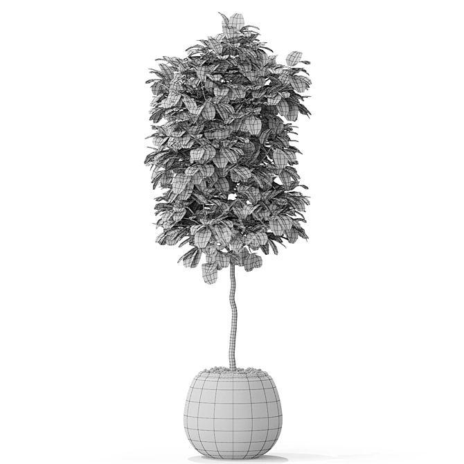 Lush Greenery: 575 Plant Collection 3D model image 4