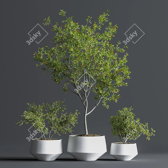 Indoor Oasis Plant Set 3D model image 1