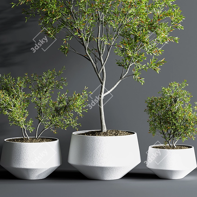 Indoor Oasis Plant Set 3D model image 3