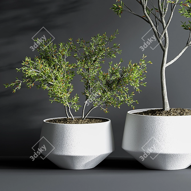 Indoor Oasis Plant Set 3D model image 4