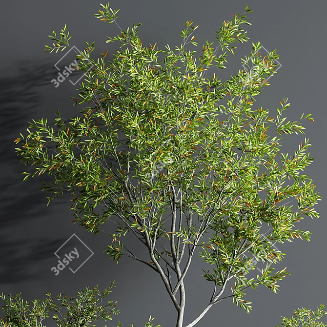 Indoor Oasis Plant Set 3D model image 5