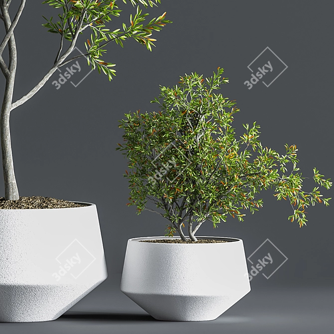 Indoor Oasis Plant Set 3D model image 6