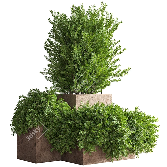 Beautiful Outdoor Tree for Stunning Landscapes 3D model image 2