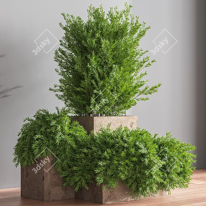 Beautiful Outdoor Tree for Stunning Landscapes 3D model image 3