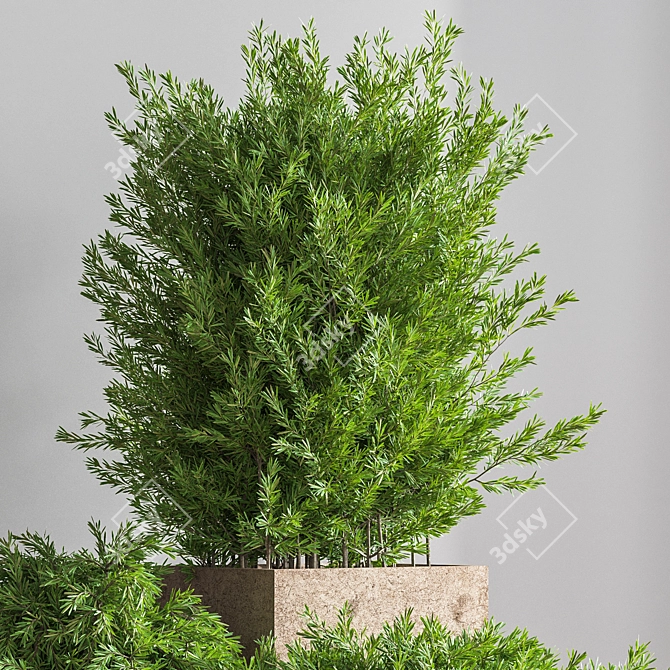 Beautiful Outdoor Tree for Stunning Landscapes 3D model image 5