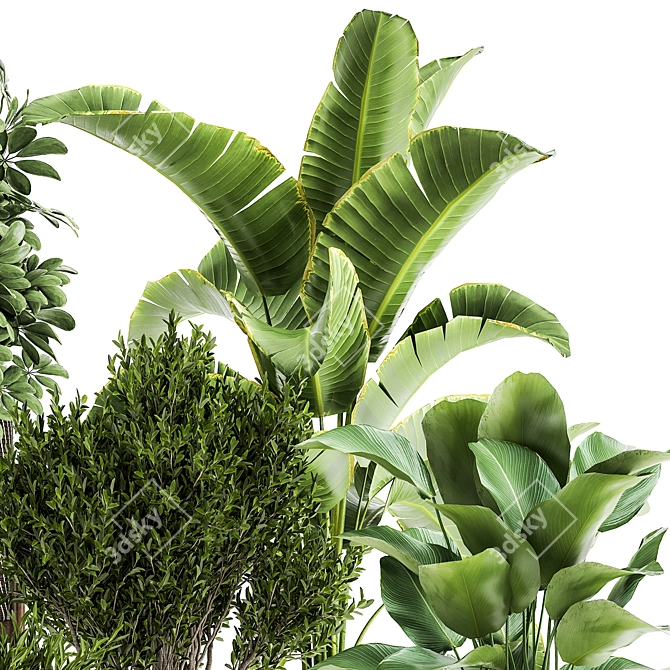 Tropical Plant Collection: Exotic & Decorative Trees and Flowers 3D model image 5