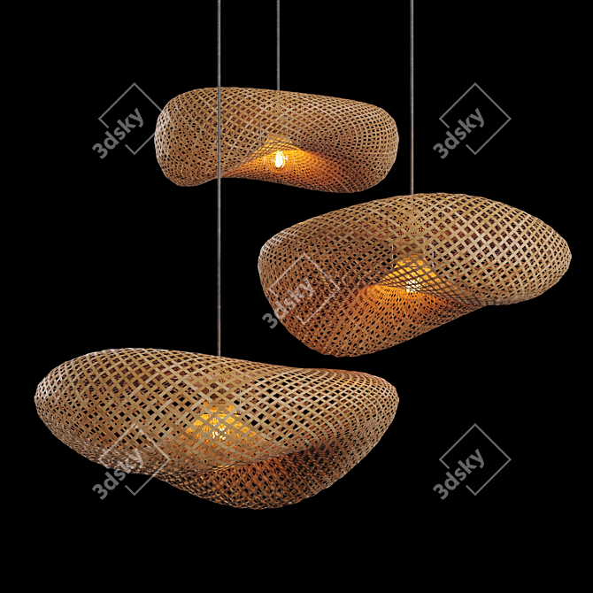 Translucent Rattan Pendant Lights 3D model image 1