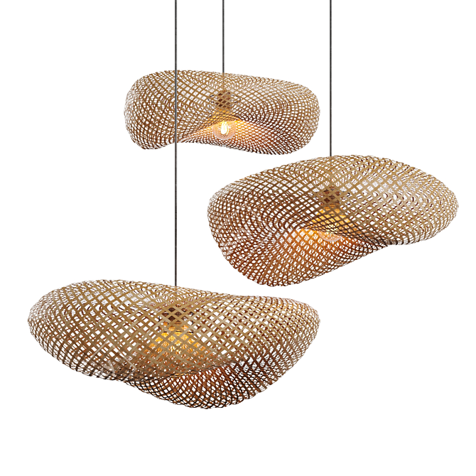 Translucent Rattan Pendant Lights 3D model image 2