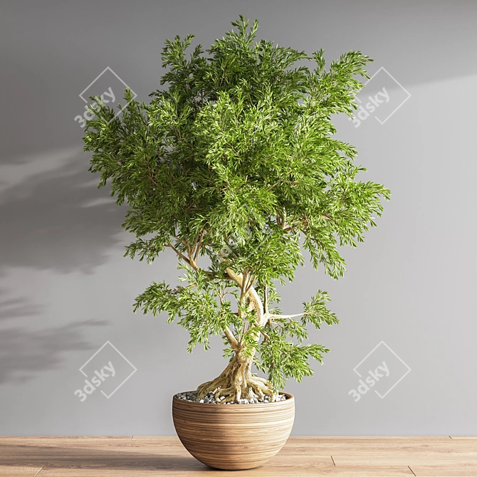 Elegant Bonsai Plant - High Quality 3D model image 3