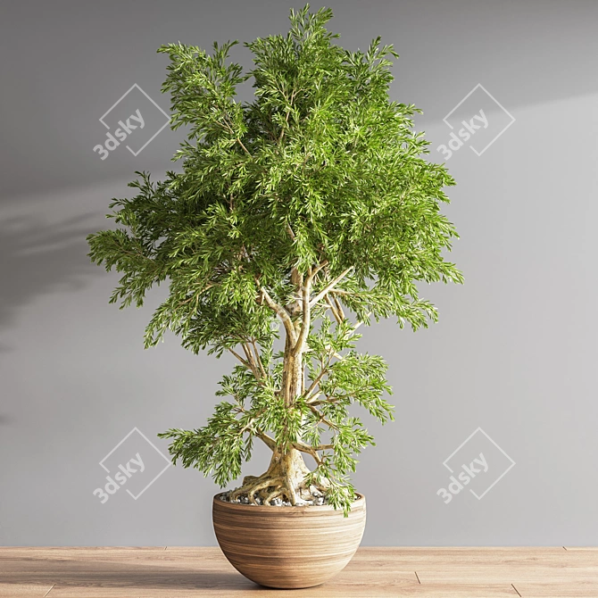 Elegant Bonsai Plant - High Quality 3D model image 4