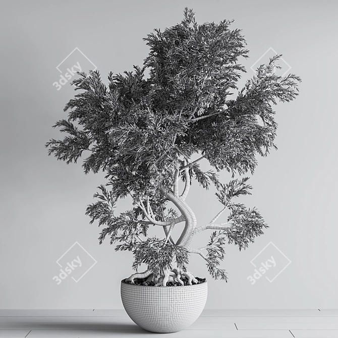 Elegant Bonsai Plant - High Quality 3D model image 5