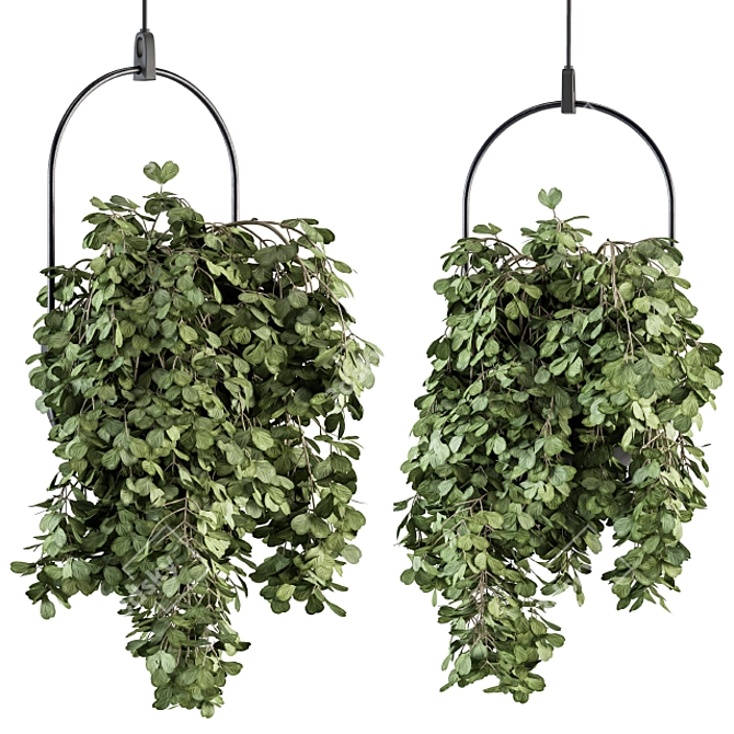 Blossom Oasis: Indoor Hanging Plant Set 3D model image 2