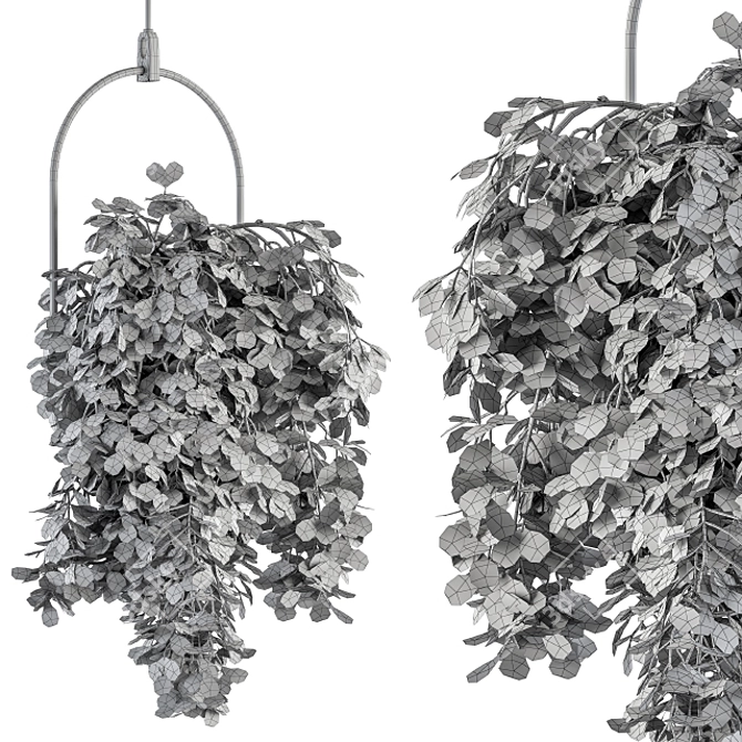 Blossom Oasis: Indoor Hanging Plant Set 3D model image 4