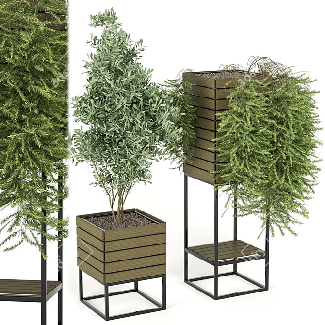 Rustic Indoor Plants Set 3D model image 1