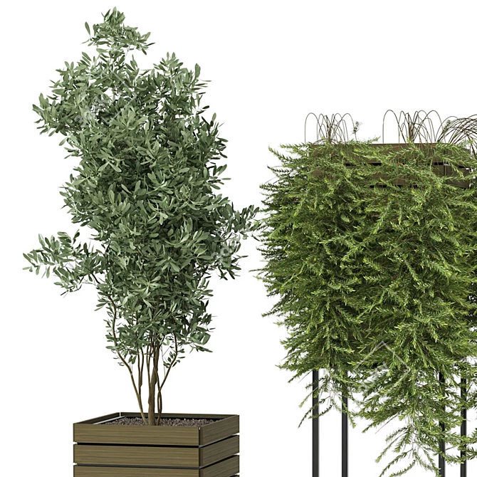 Rustic Indoor Plants Set 3D model image 5